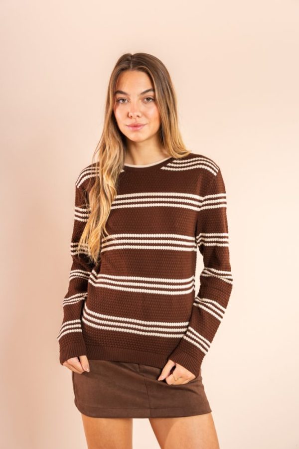 Blusa Tricot Listrada Marrom Holly Pkd
